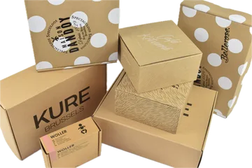 Expresslieferung Boxen in Zwijnaarde BE